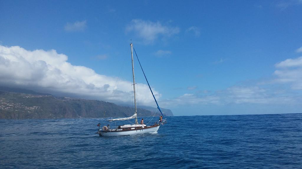Madalena do MarOcean View Madeiraアパートメント エクステリア 写真