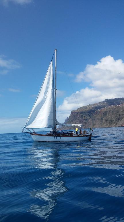 Madalena do MarOcean View Madeiraアパートメント エクステリア 写真